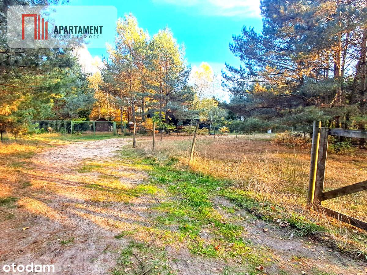 Jeszcze niższa cena!Działka mieszkaniowa w Tleniu! - Pełny obrazek: 4/9