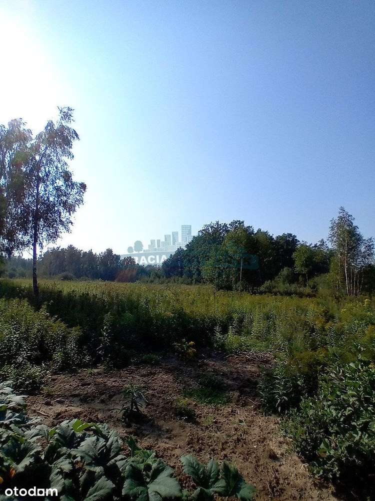 Działka, 800 m², Izabelin-Dziekanówek - Pełny obrazek: 4/6