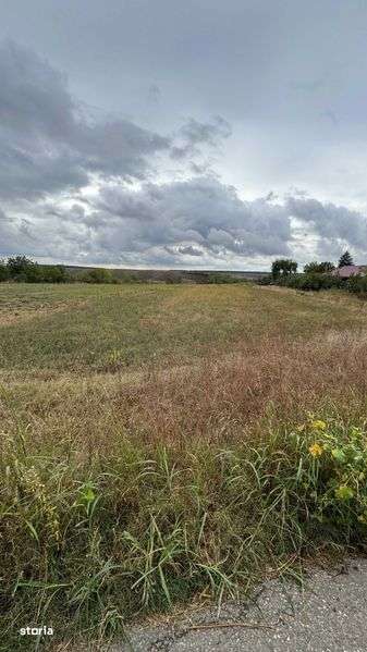 Vand teren Intravilan 1400 MP Vlad Tepes Giurgiu langa Comana - 25E/MP - Imagine principală: 4/8