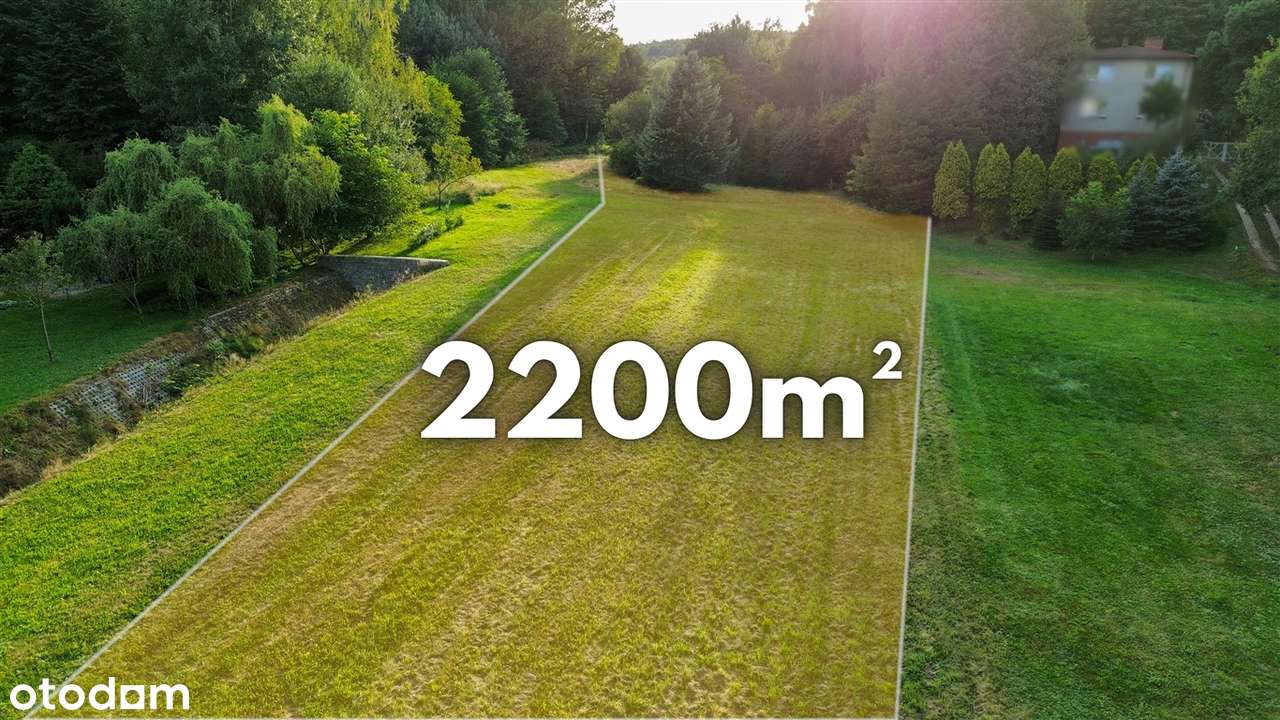 Działka, 5 930 m², Rybnik - Pełny obrazek: 2/7