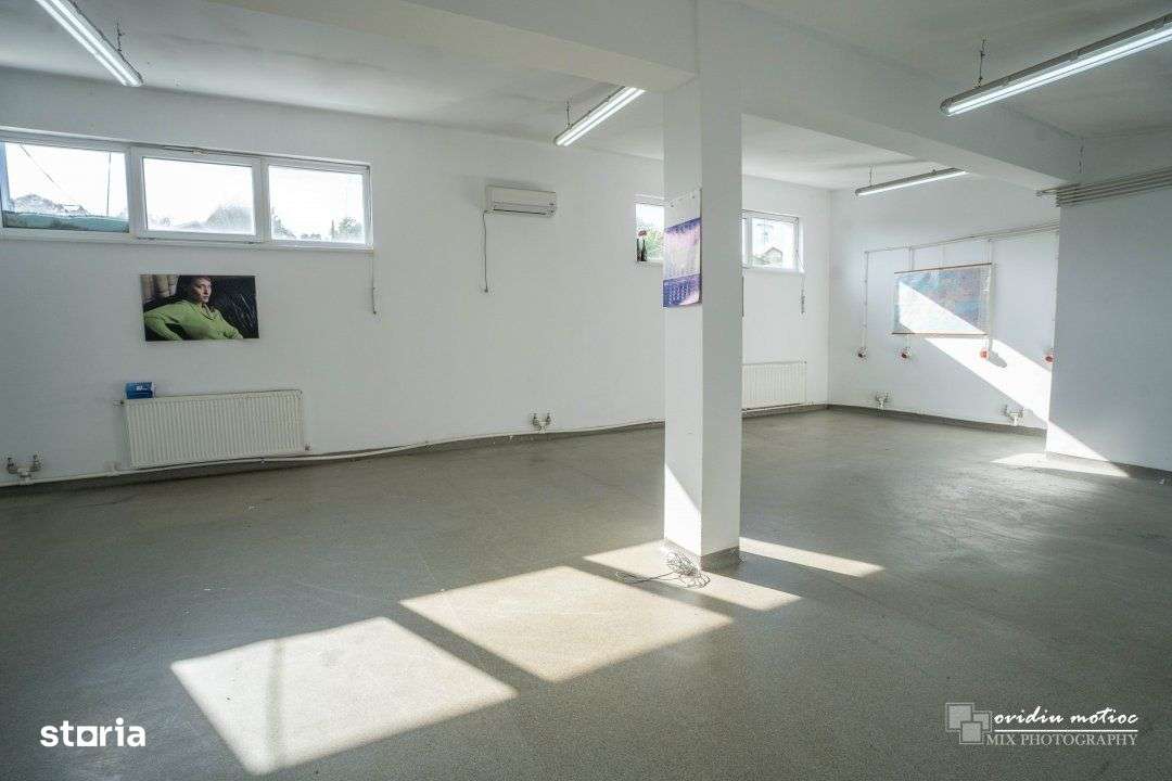 Hale in zona Calea Baciului-10