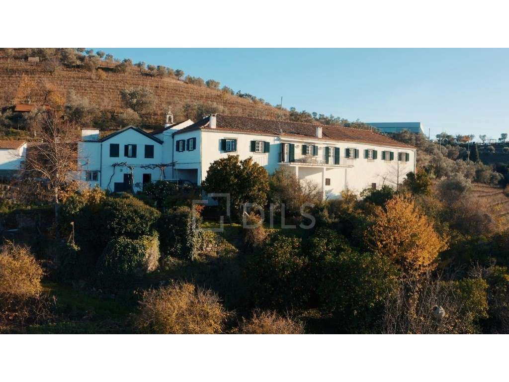 Quinta de Santo António em Peso da Régua, Douro - Grande imagem: 1/50