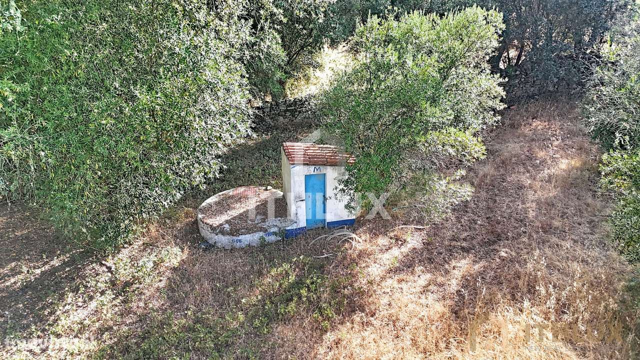 Quintinha com casa para recuperar em São Gregório,  Arraiolos-12
