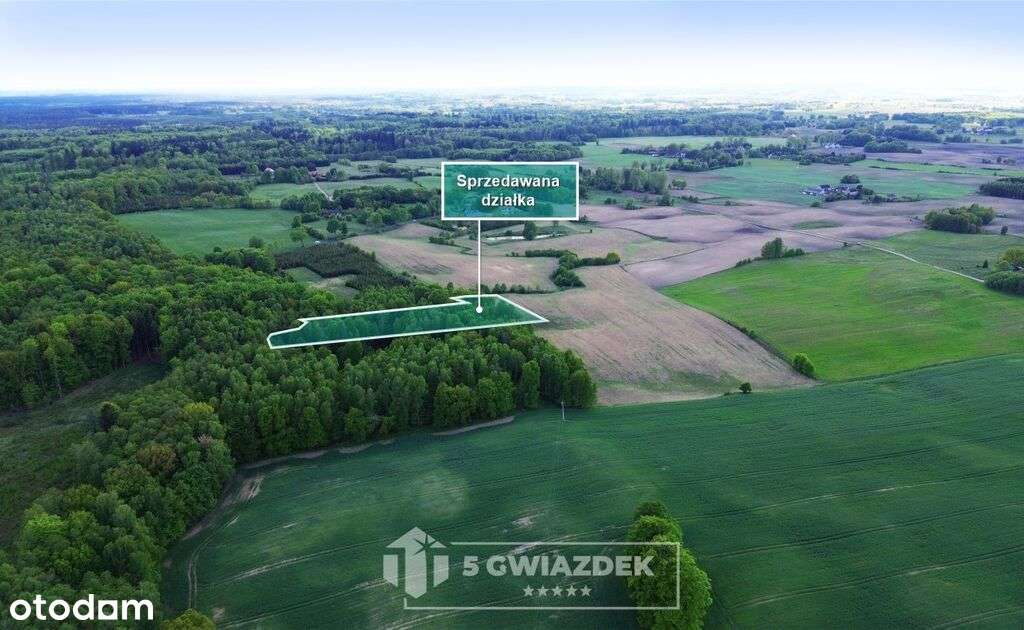 Duża działka wśród lasów. Wydane warunki zabudowy. - Pełny obrazek: 5/20