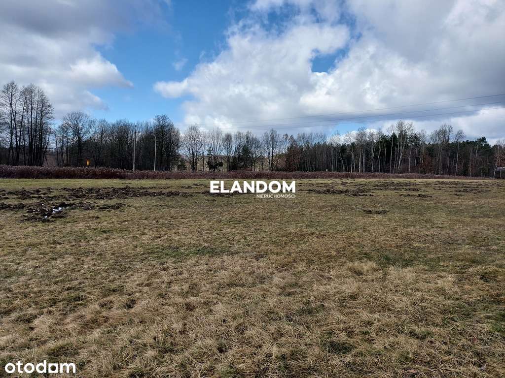 Działka rolna blisko drogi asfaltowej - Pełny obrazek: 5/7