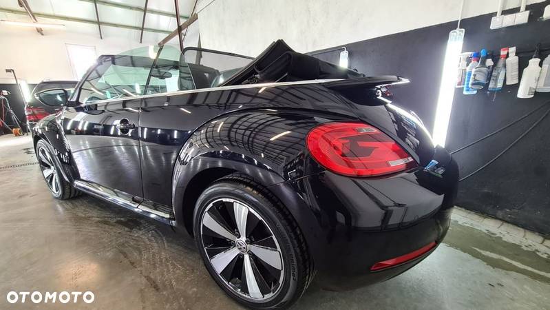 Volkswagen Beetle - 11