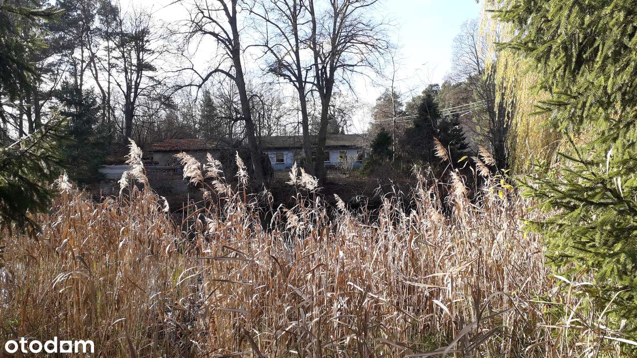 Dom ze stawem - Pełny obrazek: 2/14