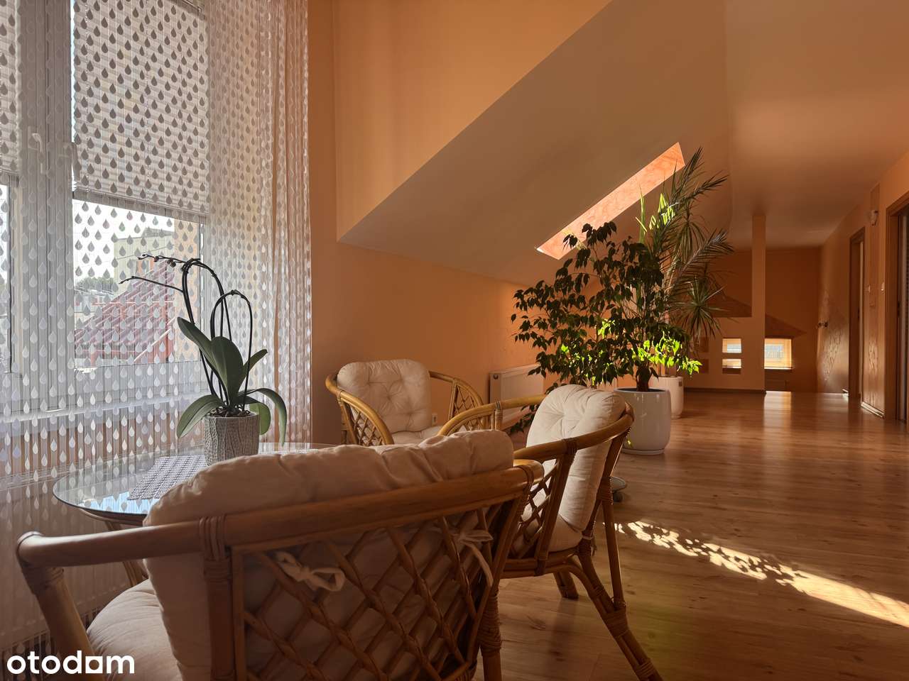 Wyjątkowa nieruchomość z częścią usługową-9