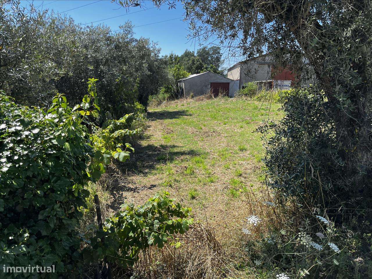 Terreno para Venda - Arrifana, Vila Nova de Poiares-5