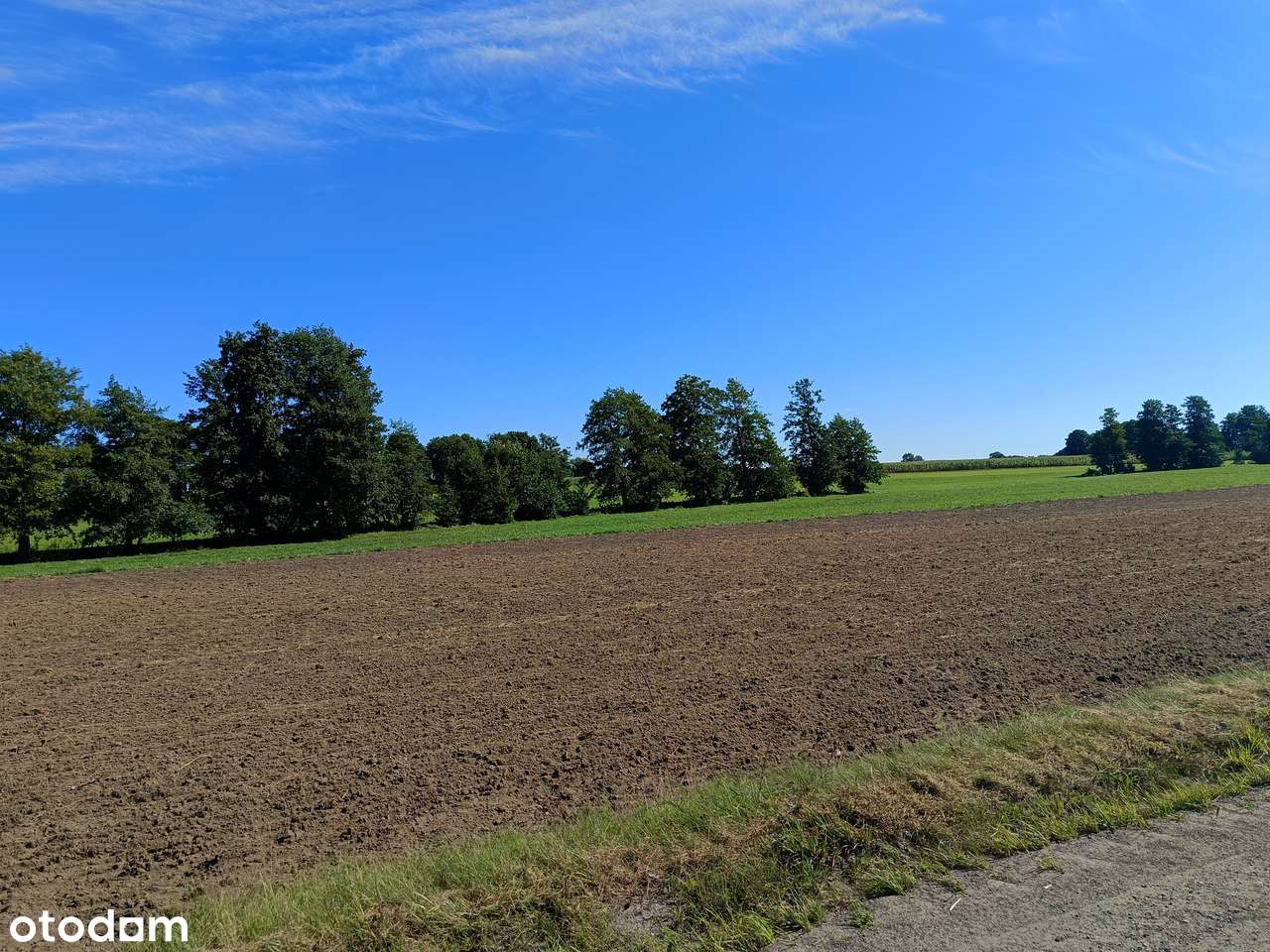 Działki budowlane w spokojnej okolicy – 1000 m², cena 89 tys. zł - Pełny obrazek: 5/14