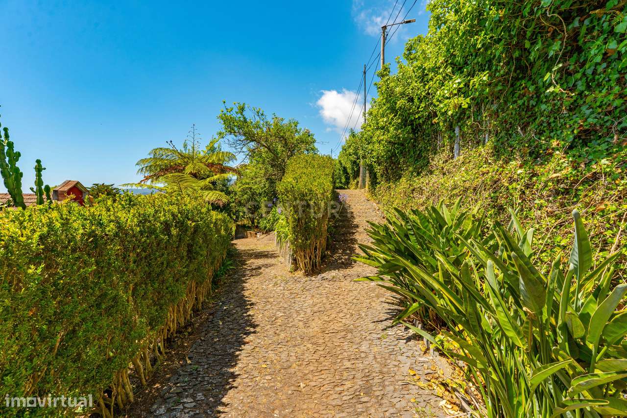 Quinta "Aldeia do Monte" – A Serenidade da Madeira num Refúgio de Eleg-10