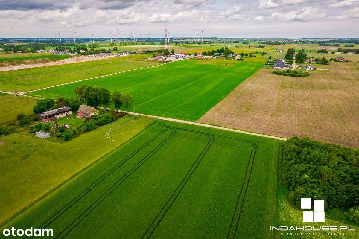 Duża działka pod budownictwo jednorodzinne Skórowo - Pełny obrazek: 5/8