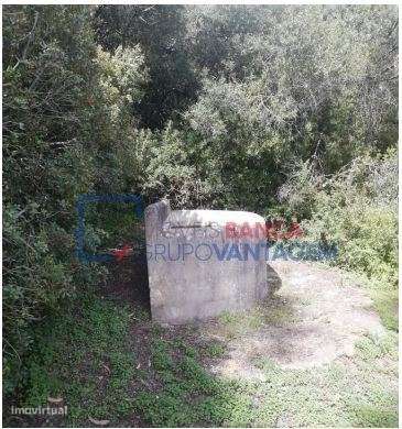 Terreno rústico - 258.814 m2 - Alenquer, Lisboa - Grande imagem: 4/6