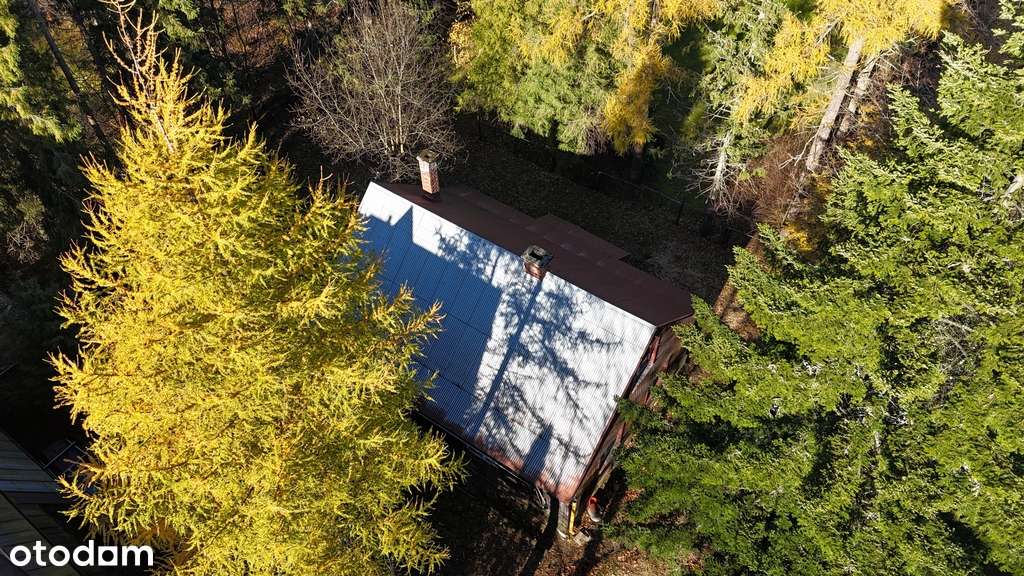 Działka z domem do remontu przy Parku narodowym-9