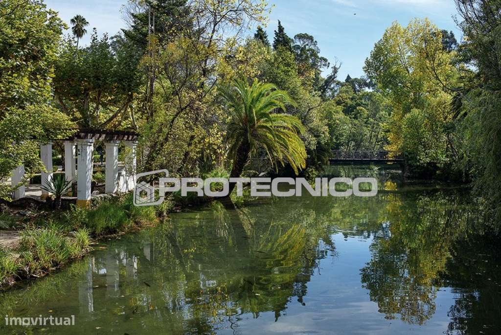 Terreno c/ 2 frentes - Grande imagem: 3/3