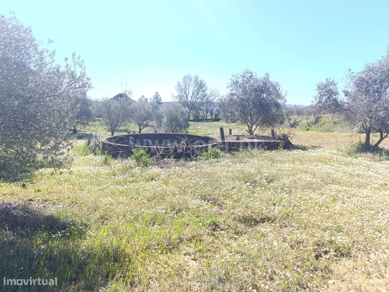 Quinta T1 / Fundão, Salgueiro - Grande imagem: 4/16