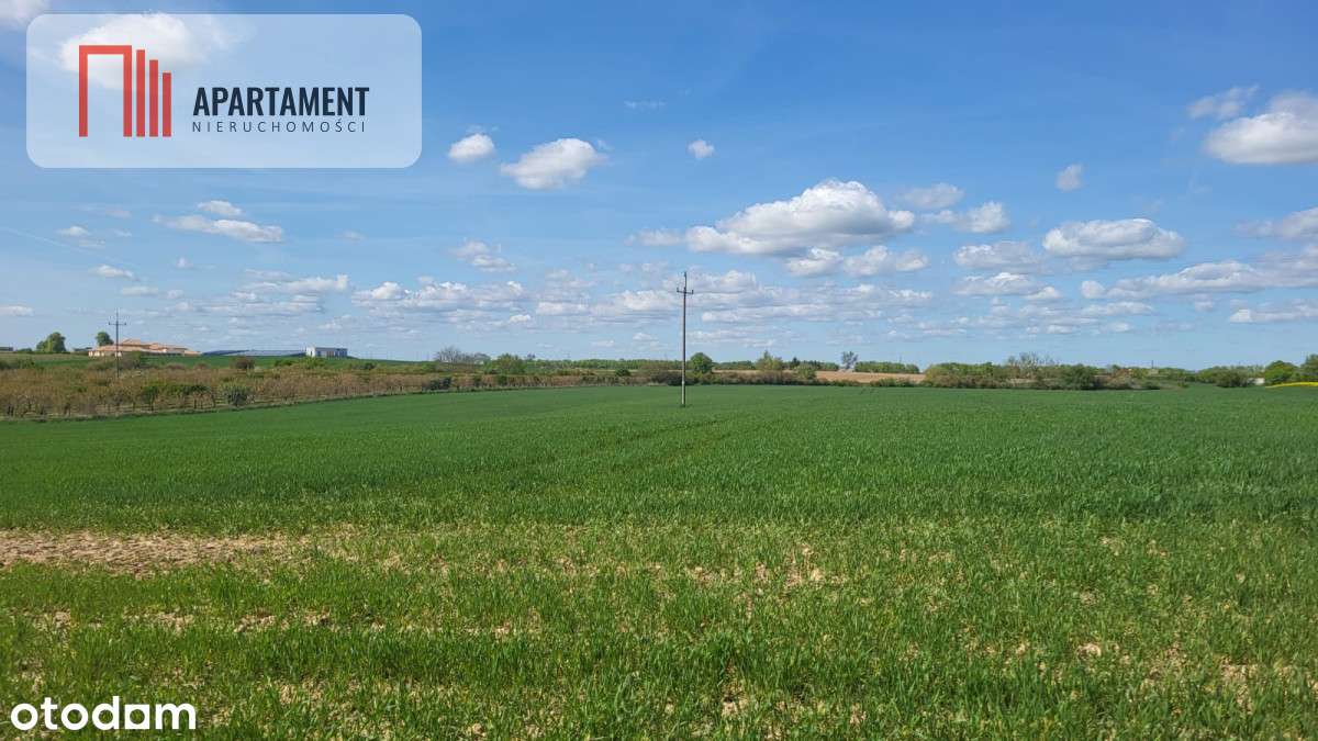 Działki Rolne Śmielin - Pełny obrazek: 5/7