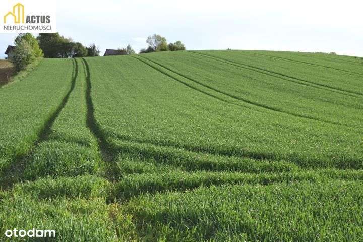 Nieruchomość 1,32 ha Stręgoborzyce-5