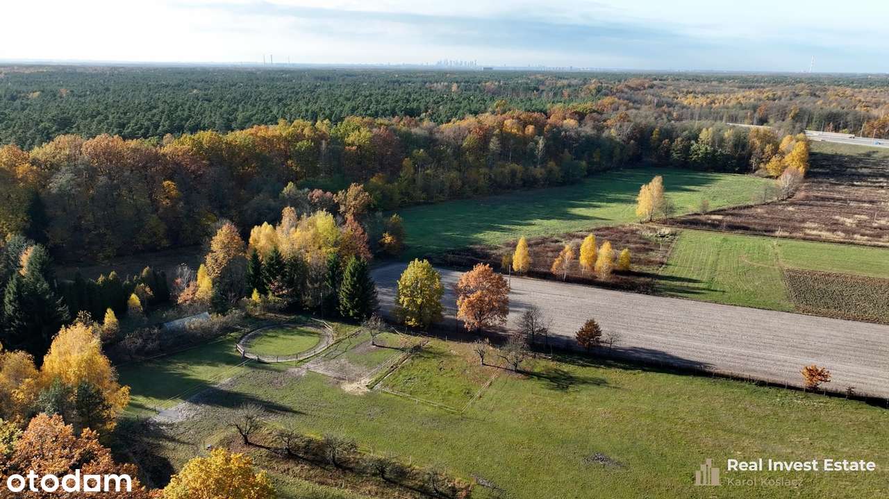 MAJDAN | 1,59 ha | WZ – 2950 PUM | PRZY MAZOWIECKI PARK KRAJOBRAZOWY-5