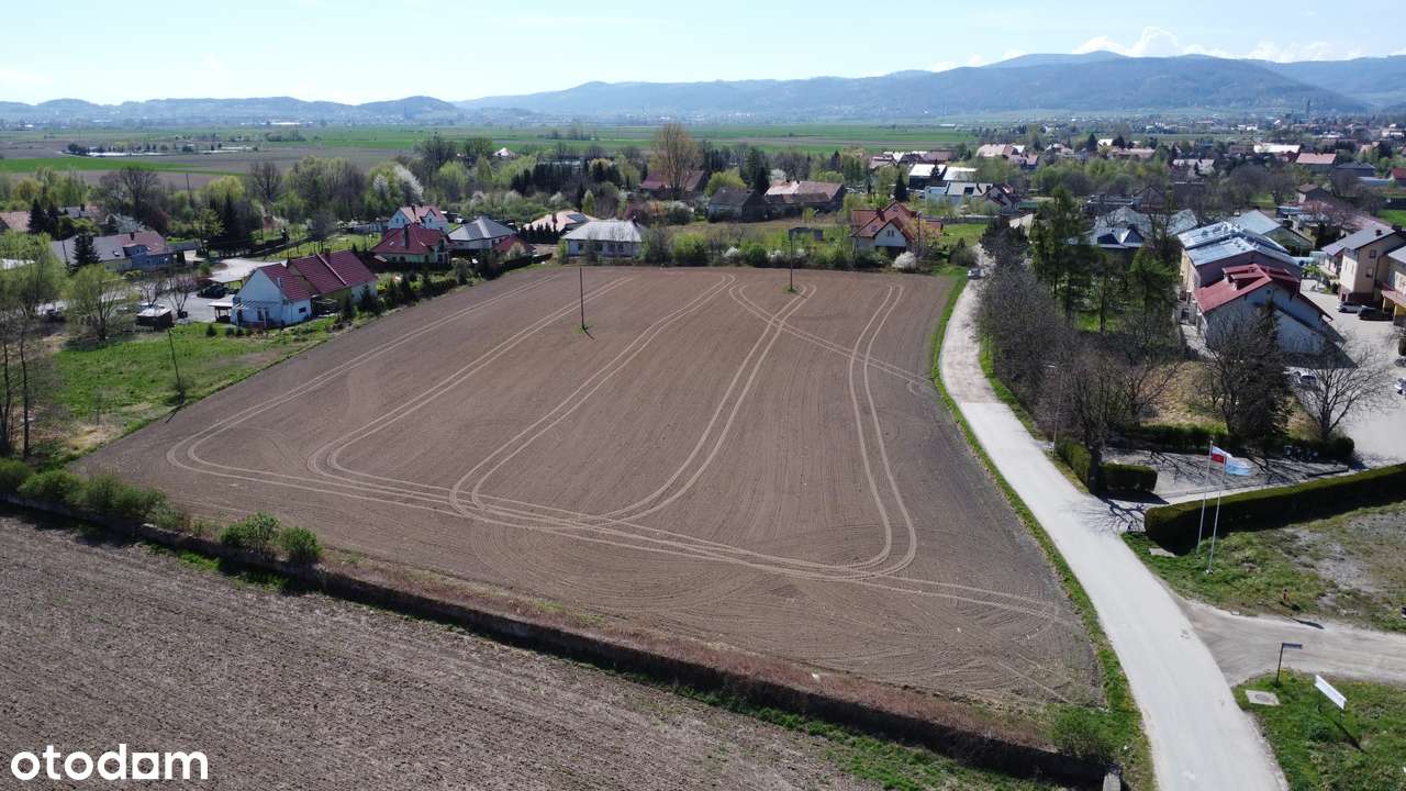 Duża 50 arowa działka z miejscowym planem zagospodarowania Pieszyce-3