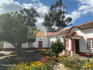 Quinta junto a Montemor-o-novo com 4,6 hectares - Grande imagem: 2/28
