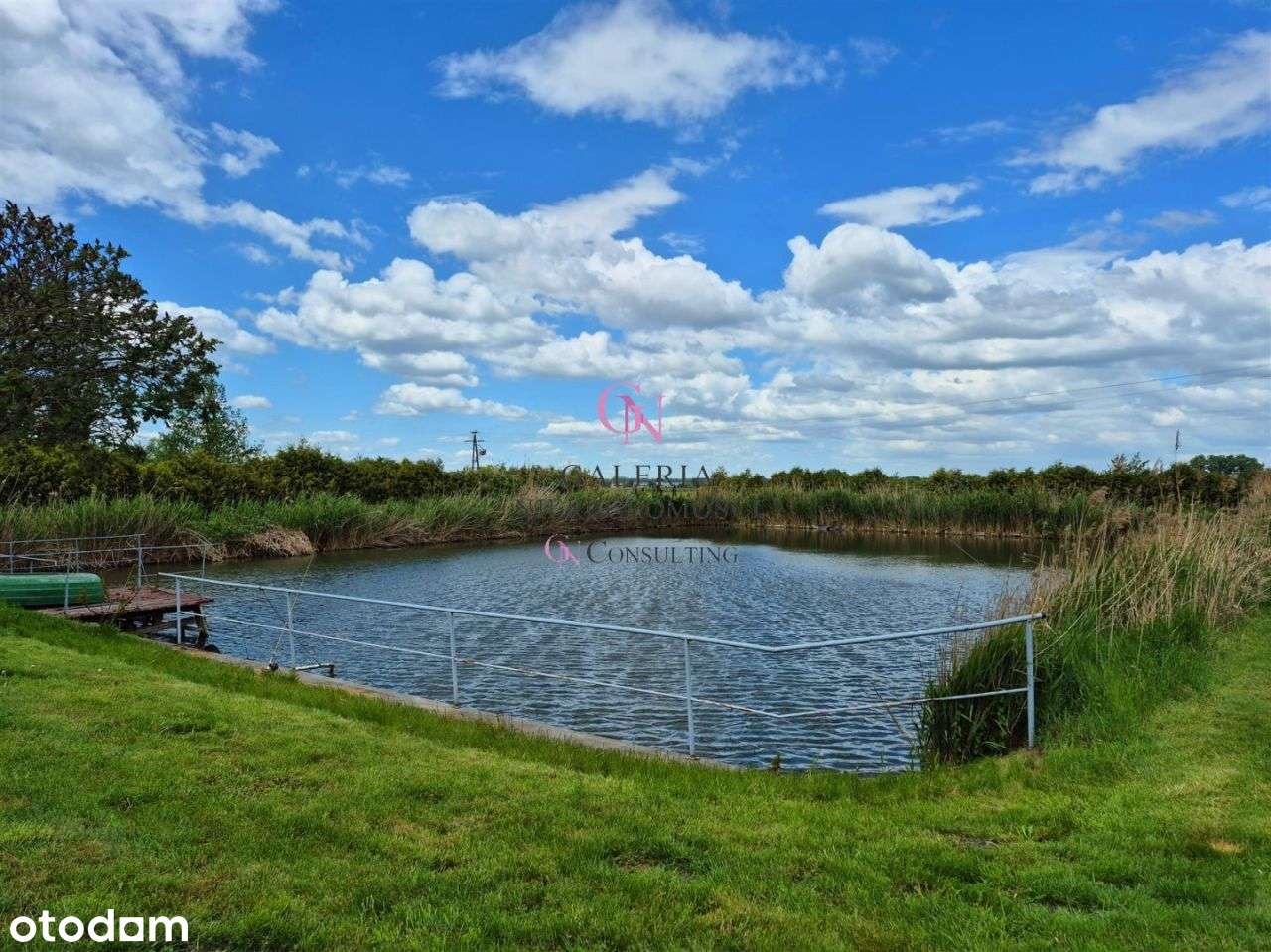 Stan do wprowadzenia, działka 8000m, własny staw - Pełny obrazek: 5/20