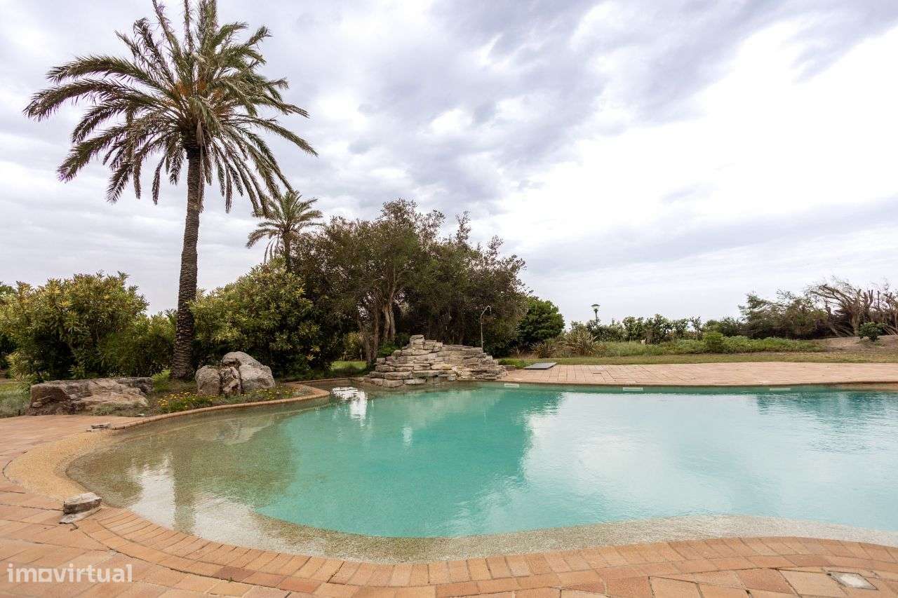 Oceanfront Dreamview-50