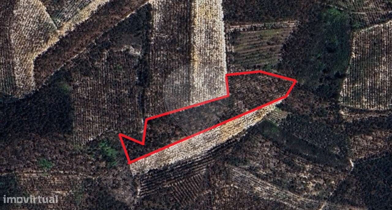 Terreno  para venda - Grande imagem: 5/7