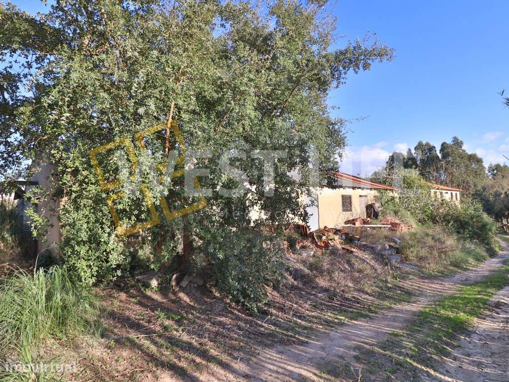 Terreno Rústico de 7437m2 com 5 Armazéns - Ericeira - Grande imagem: 4/36