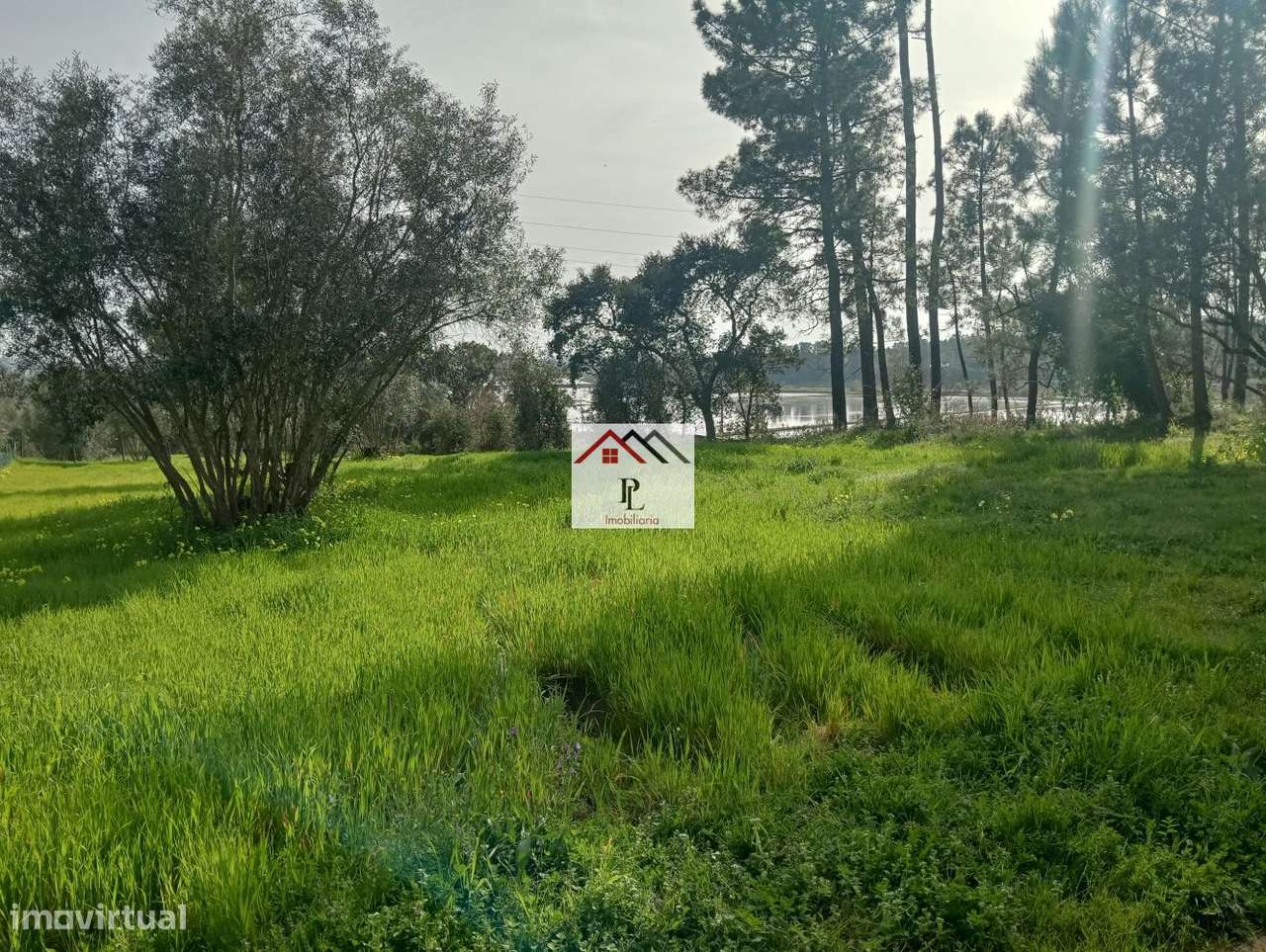 Terreno rustico em Granja de Ançã-28