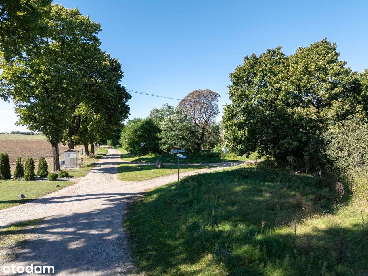 Działka 7,2 ha- przyroda i potencjał inwestycyjny-8