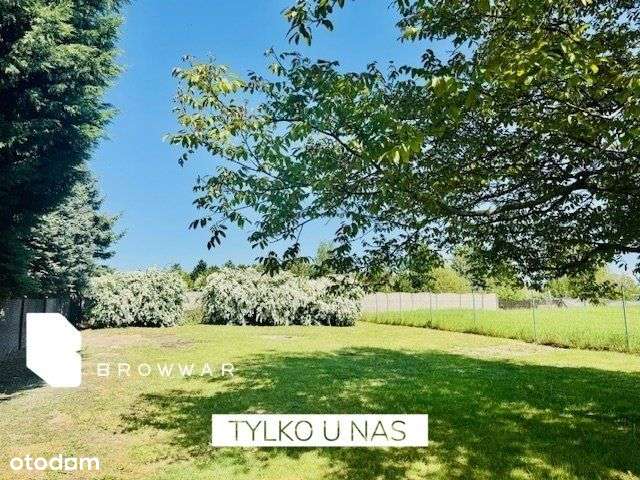 Działka z pięknym ogrodem -Tarnowo Podgórne - Pełny obrazek: 4/18