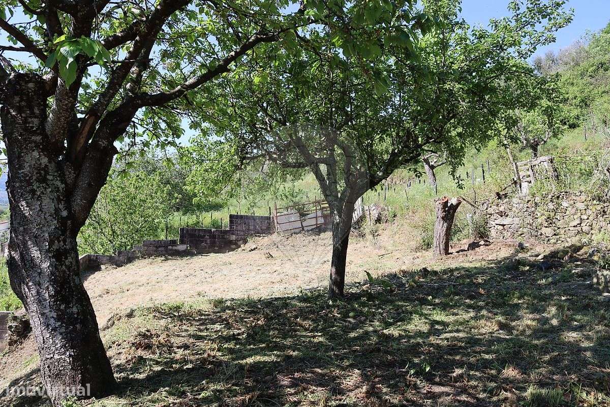 Moradia T0 para venda - Grande imagem: 4/13