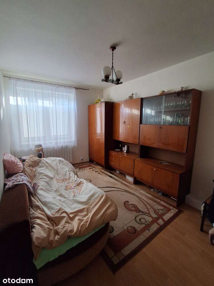 Do sprzedania dom 100m2 na działce 7300m2 w Mniowie-9