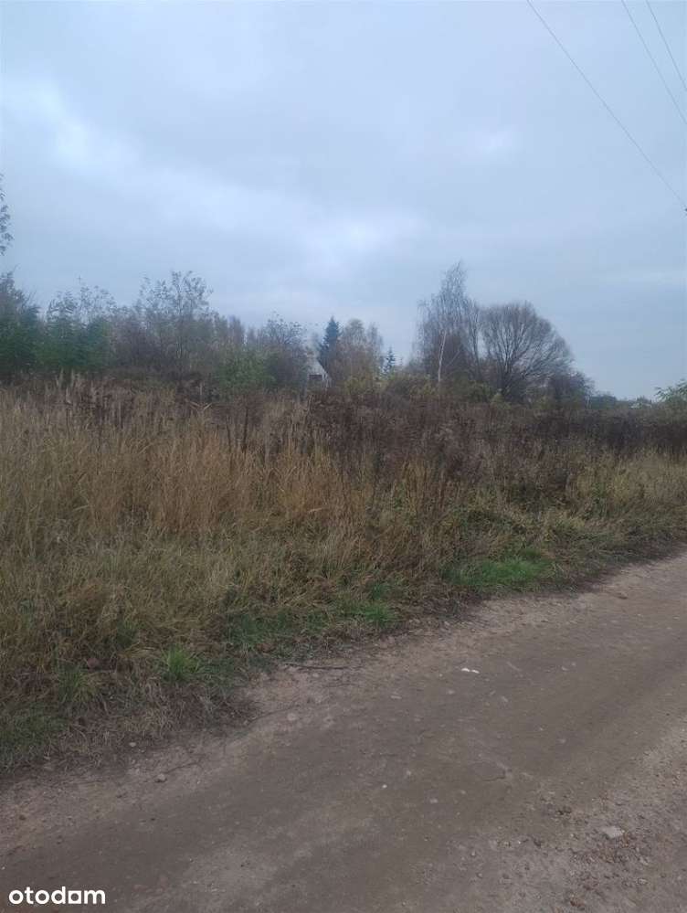 Działka Morasko - Pełny obrazek: 4/5