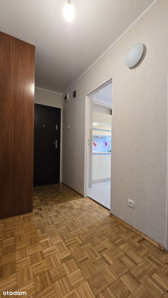 Na sprzedaż | Wieluń | os. Stare Sady | 3 pokoje-12