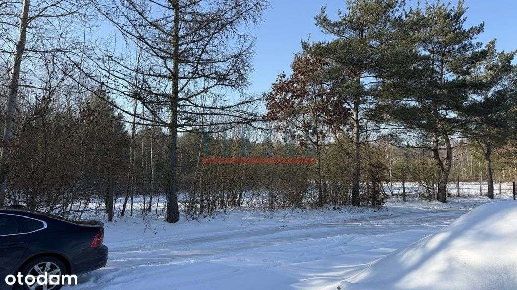 Kupujący Nie Płaci Prowizji !!!-7