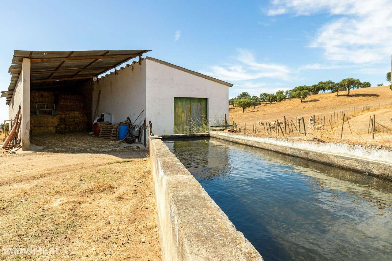 Monte Alentejano com 45 Hectares e Infraestruturas Agrícolas-11