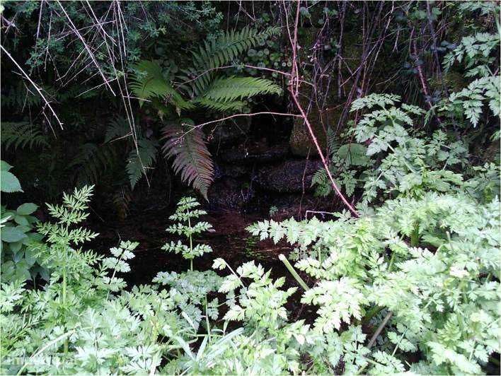 Terreno 15000 m2 Bruzende - Grande imagem: 3/5