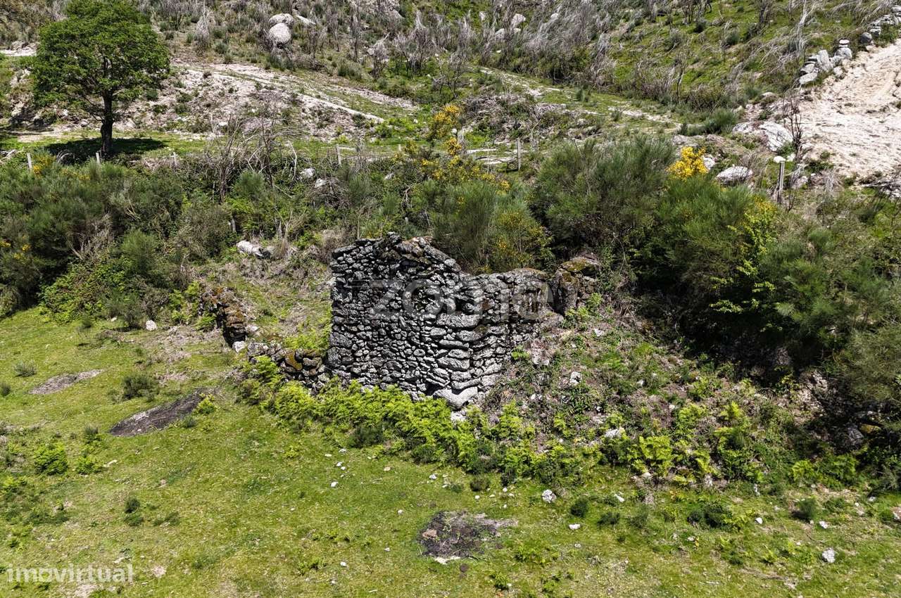 Terreno c/ruina Mixões da Serra-7