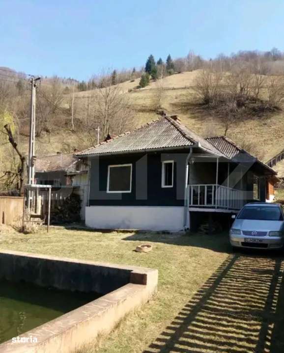 Cabana cu piscina si sistem fotovoltaic, 60 mp, zona Maguri Racatau