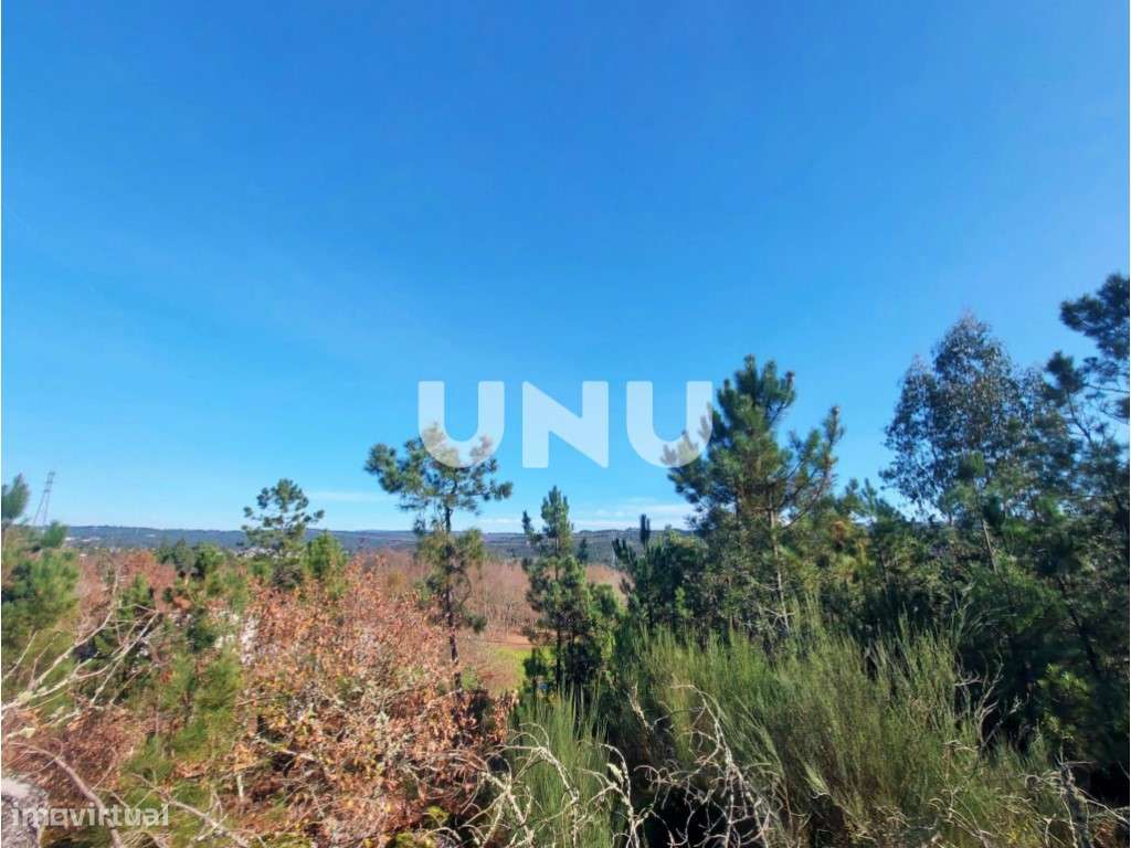 Terreno Rústico - Possibilidade de Construção - Grande imagem: 3/11