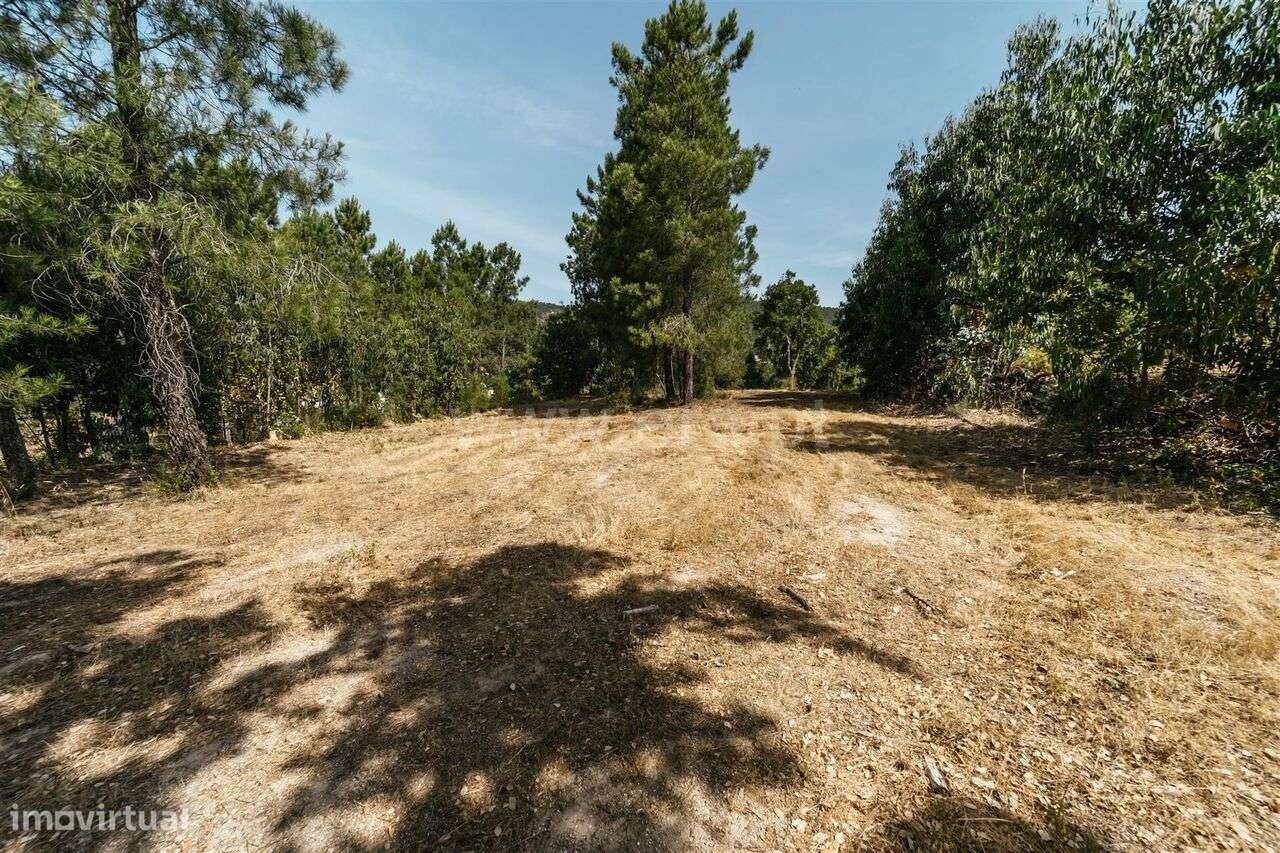 Terreno Rústico / Fundão, Vale Prazeres - Grande imagem: 5/20