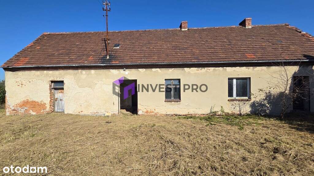 57 arów - dużo pola do popisu... - Pełny obrazek: 4/13