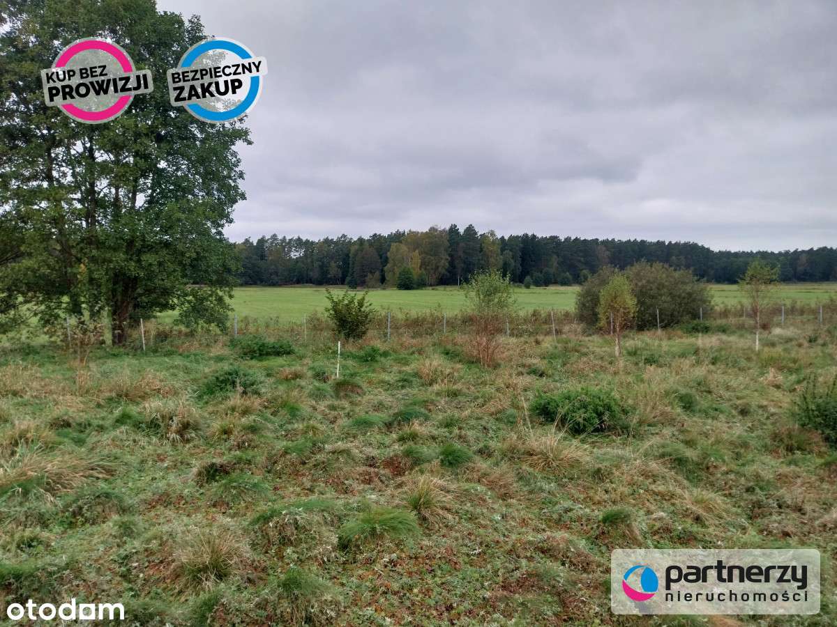 Działka ze stawami otoczona lasem - Pełny obrazek: 5/6