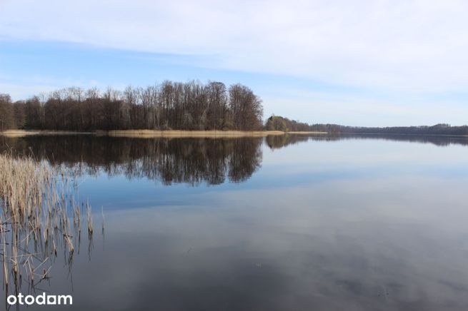 Budowlana Dziśnity, gm. Małdyty jezioro / las