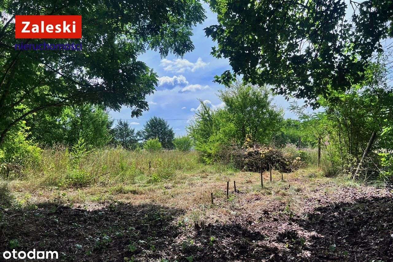 Działka budowlana - Zaskoczyn - Pełny obrazek: 4/7
