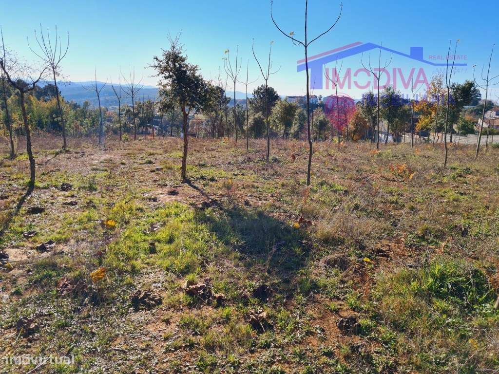 Terreno com 7107m2, viabilidade de construção em Figueiró dos Vinhos - Grande imagem: 2/8