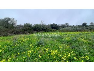 Terreno Rústico com 13960m2 a 2 km do centro de Pêro Pinheiro. - Grande imagem: 4/12