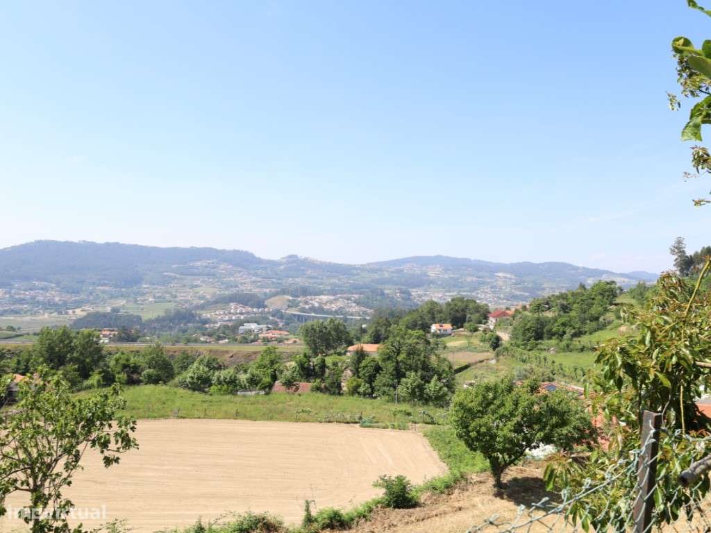 Quinta com 20.000 m² para Venda - Penacova-18